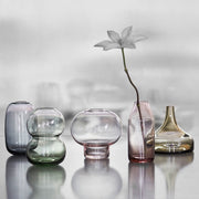 Midsummer Wood Cranesbill Vase by Claesson Koivisto Rune for Orrefors