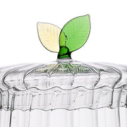 Lid closeup of Ichendorf Milano Greenwood Clear Glass Teapot with Colored Twig Handle, 28.4 oz.