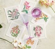 Orchid Cocktail Napkins in White & Multi, Set of 6 in Gift Box by Kim Seybert