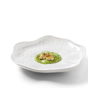 Coral Specialty Presentation Plate, 12.2" by Chef Luis Baena for Vista Alegre Dinnerware Vista Alegre 