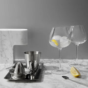 Aroma Copa Gin Glass Set of 4 by Jens Josefsson for Orrefors