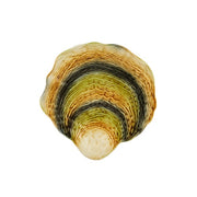 Oysters & Scallops Charger Plate, 14" by Bordallo Pinheiro