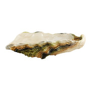 Oysters & Scallops Decorative Centerpiece, 23.6" by Bordallo Pinheiro