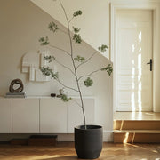 Construct Planter 02, Black by Marie Michielssen for Serax