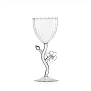 Ichendorf Milano Botanica Clear Stemmed Glass, Assorted Flowers, 9.5 oz.