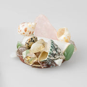Coastal Place Card Holders, Set of 4 by DHV ARTWORKS for Olivia Riegel