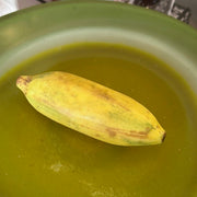 Tropical Plantain Banana Italian Carrara Marble Stone Fruit