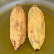 Tropical Plantain Banana Italian Carrara Marble Stone Fruit