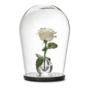 When Objects Work Bohemian Glass Bell Jar with Small Vase, 14" by Maximilian Jencquel