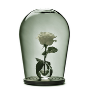 When Objects Work Bohemian Glass Bell Jar with Small Vase, 14" by Maximilian Jencquel