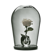 When Objects Work Bohemian Glass Bell Jar with Small Vase, 14" by Maximilian Jencquel