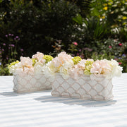 Juliska Berry & Thread Petite Parterre Garden 8" Planter , Set of 2