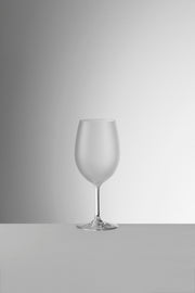 Degustazione Acrylic Wine and Champagne Glasses by Mario Luca Giusti