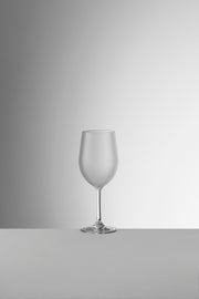 Degustazione Acrylic Wine and Champagne Glasses by Mario Luca Giusti