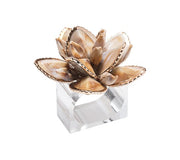 Beachcomber Napkin Ring in Natural, Set of 4 in a Gift Box by Kim Seybert