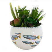 School of Fish Italian Ceramic Cachepot, 6" by Abbiamo Tutto
