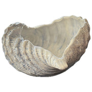 Sea Shell Bowl, Light Blue by Abbiamo Tutto