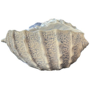 Sea Shell Bowl, Light Blue by Abbiamo Tutto