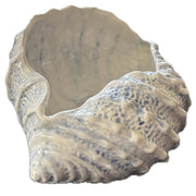 Sea Shell Bowl, Light Blue by Abbiamo Tutto