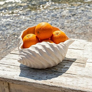 Sea Shell Bowl, Natural Color by Abbiamo Tutto