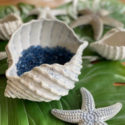 Sea Shell Bowl, Light Blue by Abbiamo Tutto