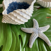 Ceramic Starfish Wall & Table Decorative Object, Blue by Abbiamo Tutto