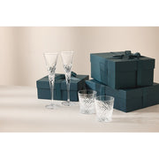 Celebrations Tumblers, Set of 2 by Waterford