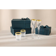 Celebrations Gilded Tumblers, Set of 2 by Waterford
