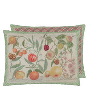 Oranges- Canvas 24" x 18" Rectangular Throw Pillow by John Derian for Designers Guild Throw Pillows Designers Guild 