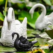 Cisnes Porcelain Swan Sculpture by Vista Alegre