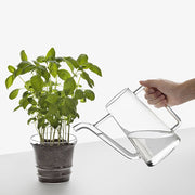 Water inside the Ichendorf Milano Boboli: Pitcher / Watering Can 44 oz.