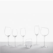 Collection of Ichendorf Milano Solisti Slanted Top, Soft Mature White Wine Stemmed Glass, 11.8 oz. Set of 2