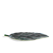 Cenote Leaf Platter by L'Objet