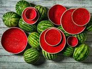 Watermelon 12 Piece Set with Bowls by Bordallo Pinheiro