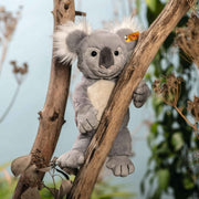 Nils the Koala Plush Toy, 12" by Steiff Doll Steiff 