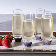 Elevo Champagne Glasses, Set of 2 by ANNA New York Glassware Anna 