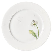 Lotos Bisque Dandelion Dinner Plate, 10.6" by Wolfgang von Wersin for Nymphenburg Porcelain Dinnerware Nymphenburg Porcelain 