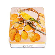 Amazonia Light Card Box by Vista Alegre Jewelry & Trinket Boxes Vista Alegre 