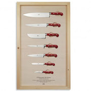 Wall Displays of 7 Kitchen Knives with Lucite Handles by Berti Knive Set Berti Red lucite 