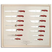 Wall Displays of 14 Kitchen and Serving Knives with Lucite Handles by Berti Knive Set Berti Red lucite 