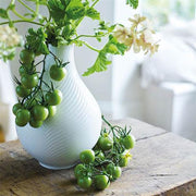 White Folia Bulb Vase, 9" by Wedgwood Dinnerware Wedgwood 