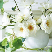 White Folia Rose Bowl, 5.1" by Wedgwood Dinnerware Wedgwood 