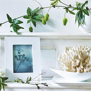 White Folia Frame, 4"x 6" by Wedgwood Dinnerware Wedgwood 