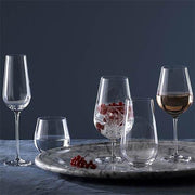 Globe Champagne Flute, Set of 2 by Wedgwood Glassware Wedgwood 