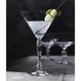 Faceted Classic Martini Glass, 9.25 oz. Glassware Amusespot 