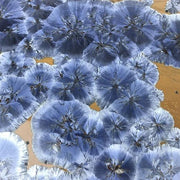 Borealis 19.5" Medium Frost Blue Lazy Susan by Michael Wainwright Platter Michael Wainwright 