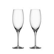 Premier 10 oz. Champagne Flute Glass, set of 2 by Orrefors Glassware Orrefors 