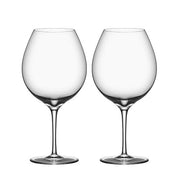 Premier 29 oz. Pinot Noir Red Wine Glass, set of 2 by Orrefors Glassware Orrefors 