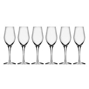 Sense 8.6 oz. Sparkling Glass, Set of 6 by Orrefors Glassware Orrefors 