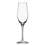 Merlot 11 oz. Champagne Glass by Orrefors Glassware Orrefors 